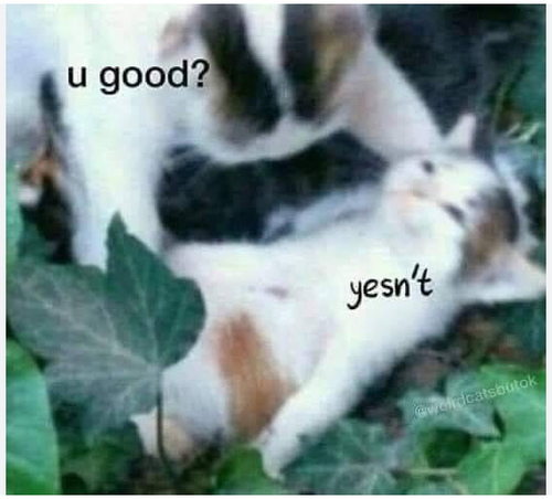 2024 07 04 17h38 37.png