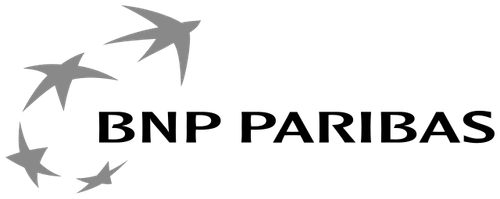bnp.png