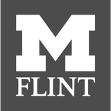 umflint