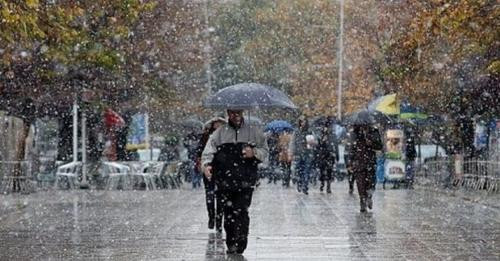 16734716642870483016?url=https%3A%2F%2Fwww.btvnews.al%2Fwp content%2Fuploads%2F2024%2F03%2Frreshje s.jpg