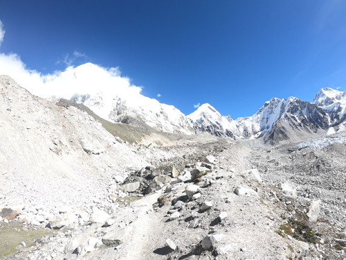 G0124784.jpg