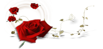 0 434.png