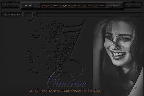 CIMCIME.BIRI CIKAR KARSINA.MERMI 38.jpg