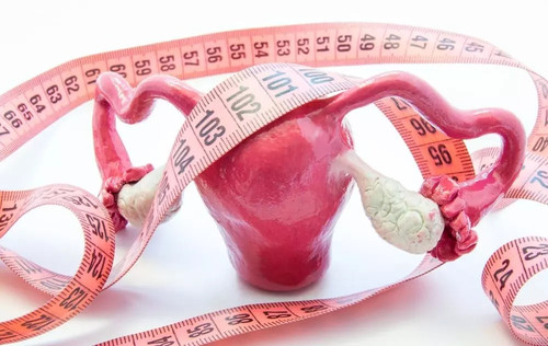 Average Volume Of Uterus.jpg