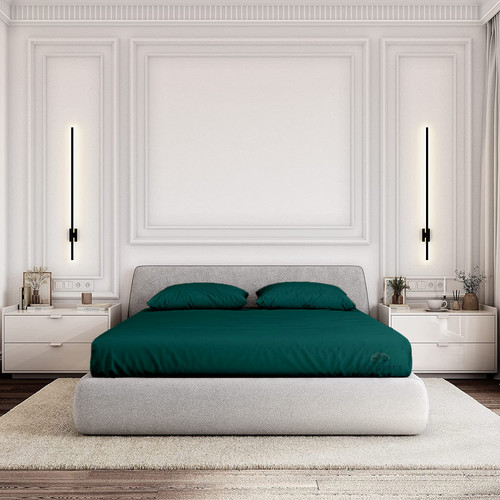 Teal (1).jpg