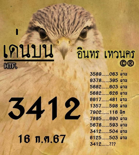 644903.jpg