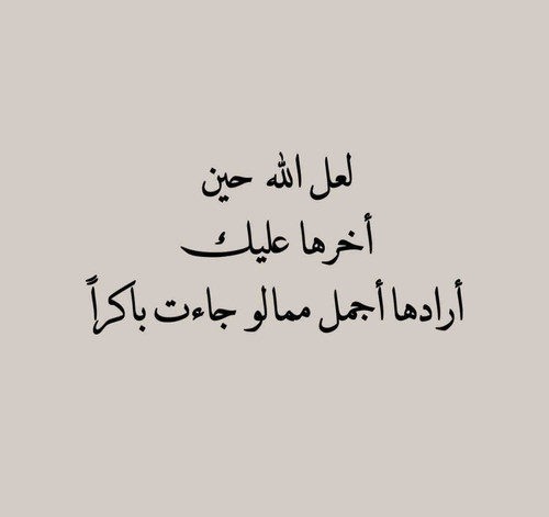 36A321F8 AA0B 4C78 B9A0 B3D1F41EFA58.jpg