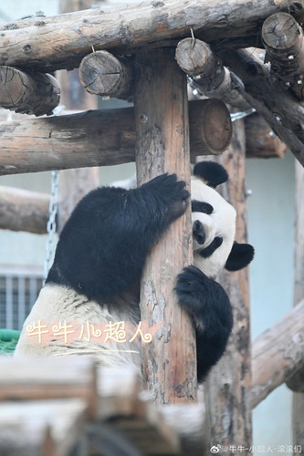 48D57122 4621 484B 8A69 62D0AF7F0B25.jpg