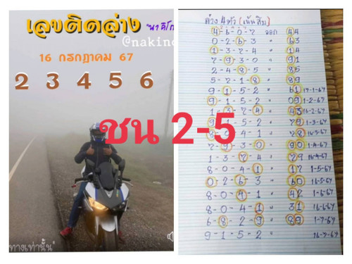 644296.jpg