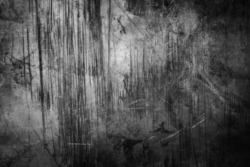 Wallpaper House.com 165745.jpg