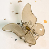 IMG 0240