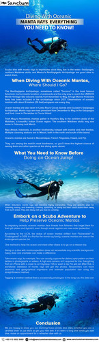 Diving With Oceanic Manta Rays Everything You Need to Know.jpg