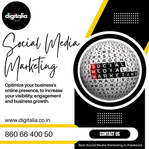 Best social media marketing in Palakkad2.jpg