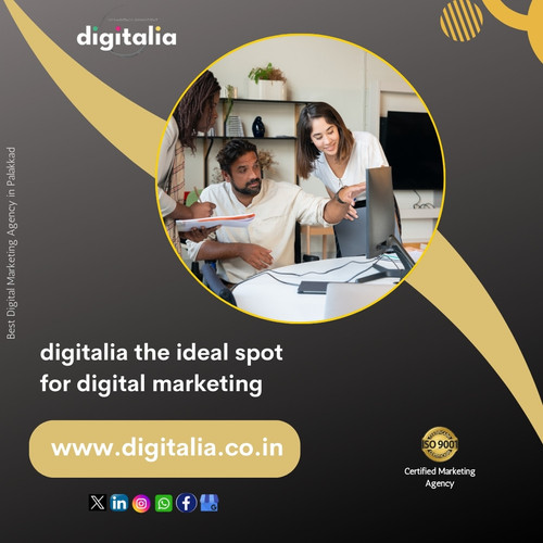 Best Digital Marketing Agency in Palakkad (15).jpg