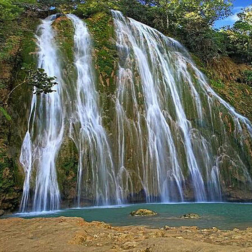 Salto de Limon 600x600.jpg