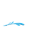 favicon.png