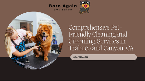 Comprehensive Pet Friendly Cleaning and Grooming Services in Trabuco.png