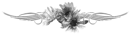 (( a BEWERKT BL BLOEM.png