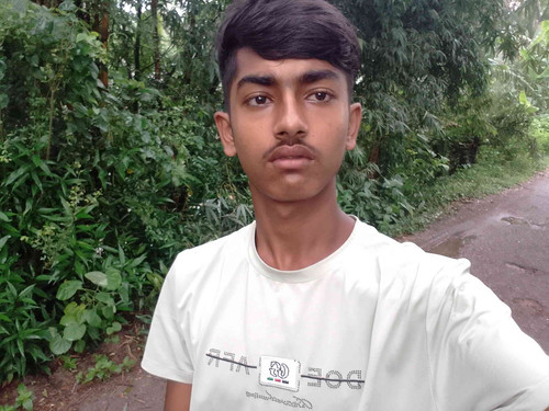 JPEG 20240704 194541 41292964550599642.jpg