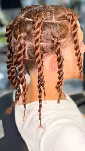 86. Twist Braids.webp