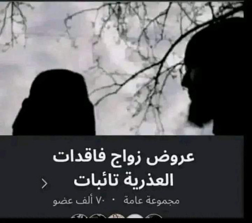 FB IMG 1720117237701.jpg