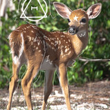 Fawn <3