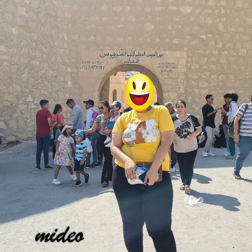 المحترف للكتابة على الصور1720149992568.png