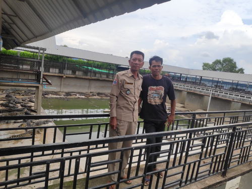 image 267.png