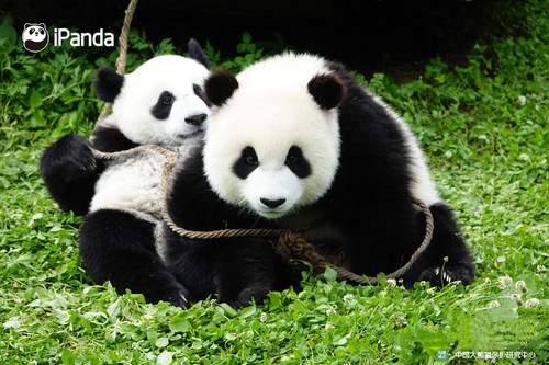 F900F8A6 3DA5 4A61 B7B3 BEC520671BCE.jpg