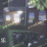 IMG 1556.gif