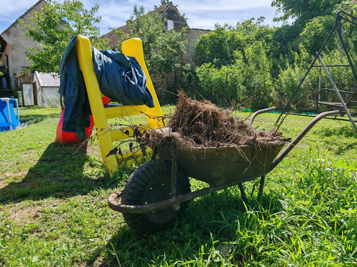 IMG 20240706 105801.jpg