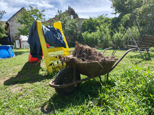 IMG 20240706 105823557 HDR.jpg