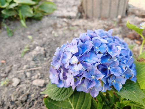 IMG 20240706 110215.jpg