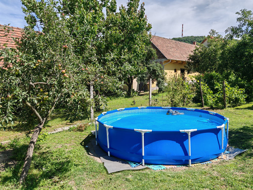 IMG 20240706 105528.jpg