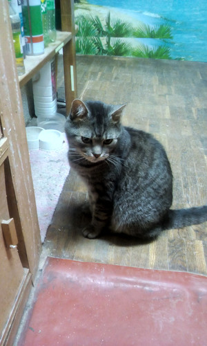 IMG 20220119 183216.jpg