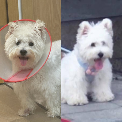 IMG 20240707 002354.jpg