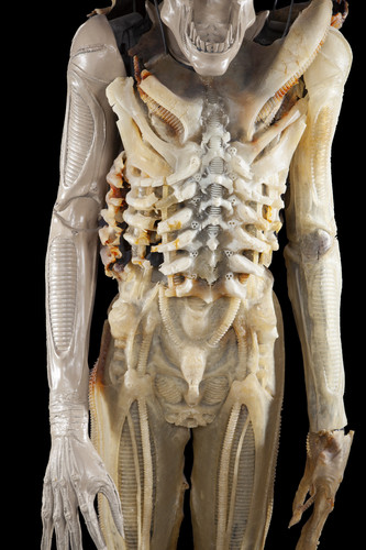 387747 xl.jpg