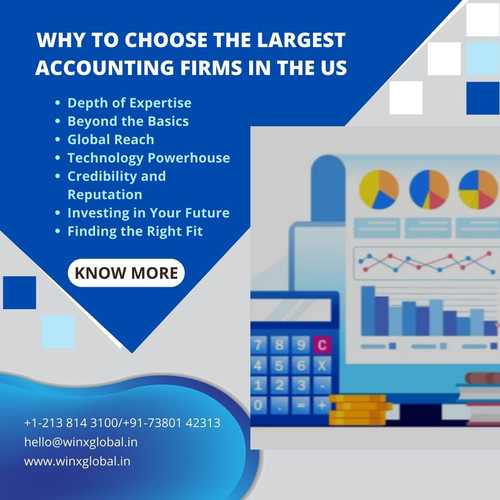 Why to Choose the Largest Accounting Firms in America.jpg