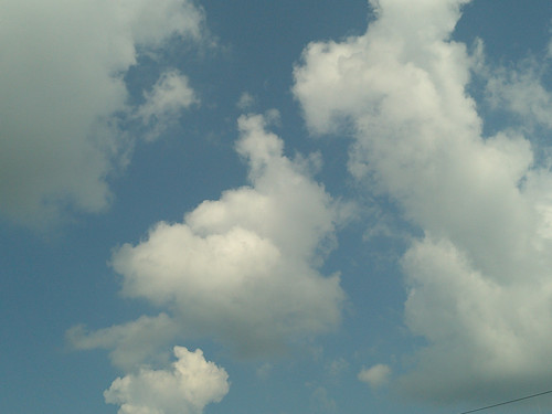 IMG 0950.jpg