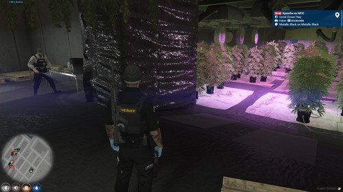 FiveM b2802 GTAProcess i8lQbYmv0g.jpg