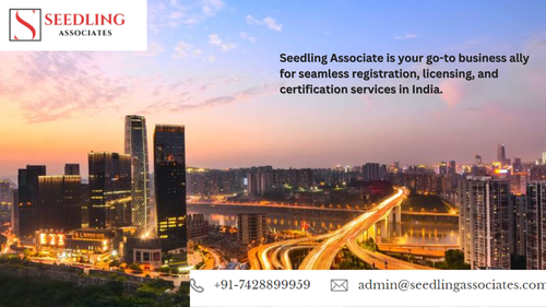 Seedling Business Ally.png