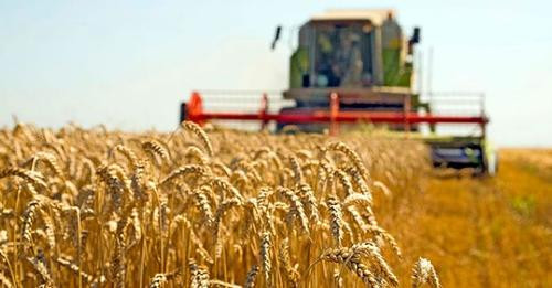 16988012448280223357?url=https%3A%2F%2Fstatic.joq albania.com%2FimagesNew%2F2024%2F07%2Fgruri.jpg&fb.jpg