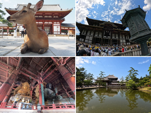 nara3.jpg