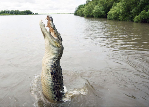 2024 07 03 15h42 58.jpg