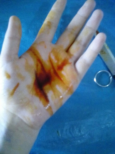 images%2Fimage 1720014196959.jpg