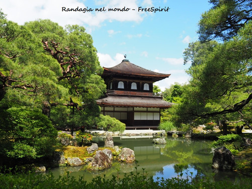 OLYMPUS DIGITAL CAMERA.jpg