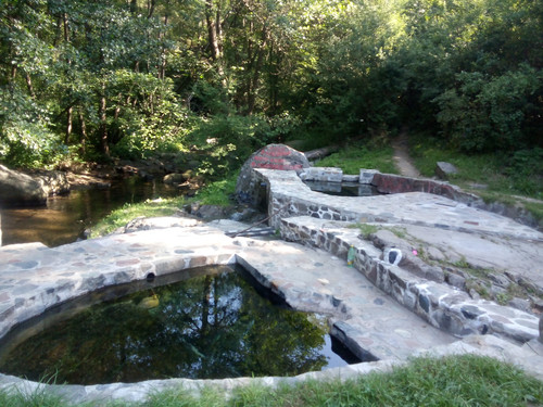 IMG 20200805 094359.jpg