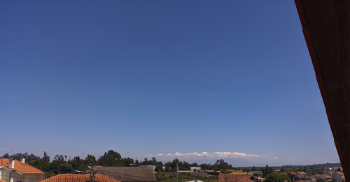 IMG 20240703 144929.jpg