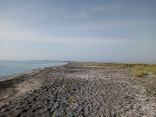 IMG 20210626 080436.jpg