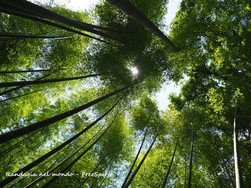 OLYMPUS DIGITAL CAMERA.jpg